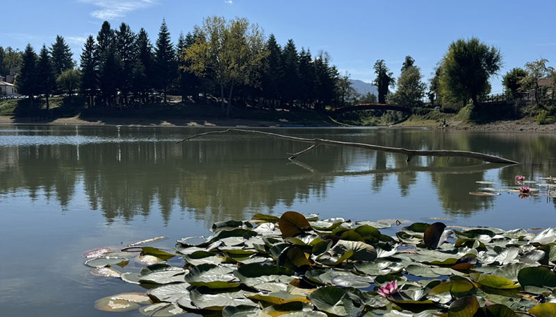lago sirino int web nemoli