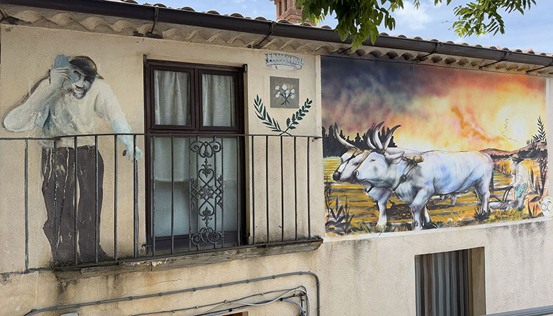 scorcio murales int web spinoso