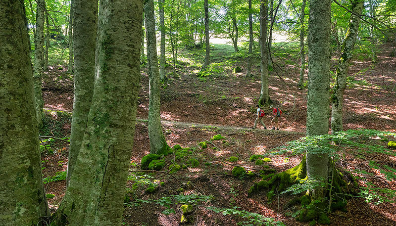 outdoor trekking int web