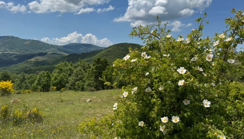 Vista paesaggio Marsico Nuovo